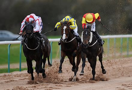 dead cert horse racing tips|Horse Racing Tips & Predictions from Oddschecker.
